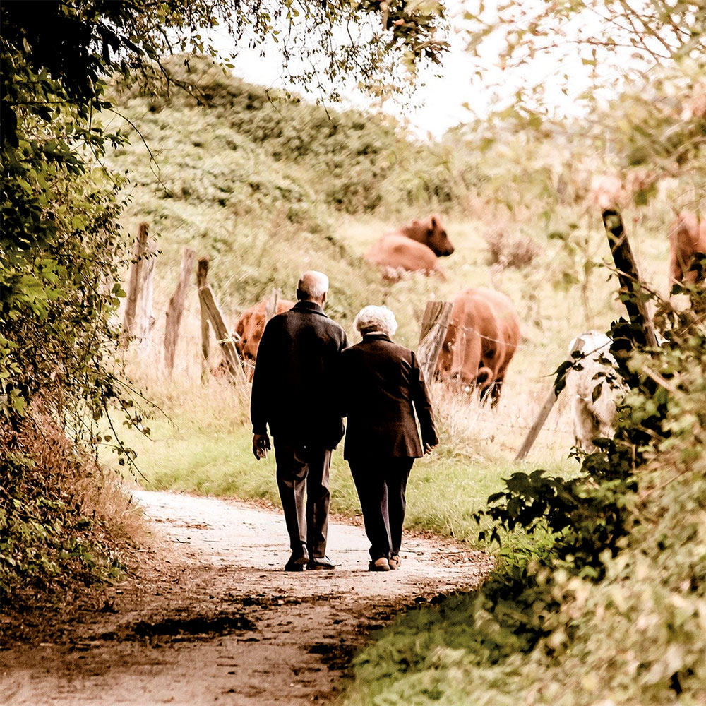 Wohnen im Alter / Barrierefreies Wohnen